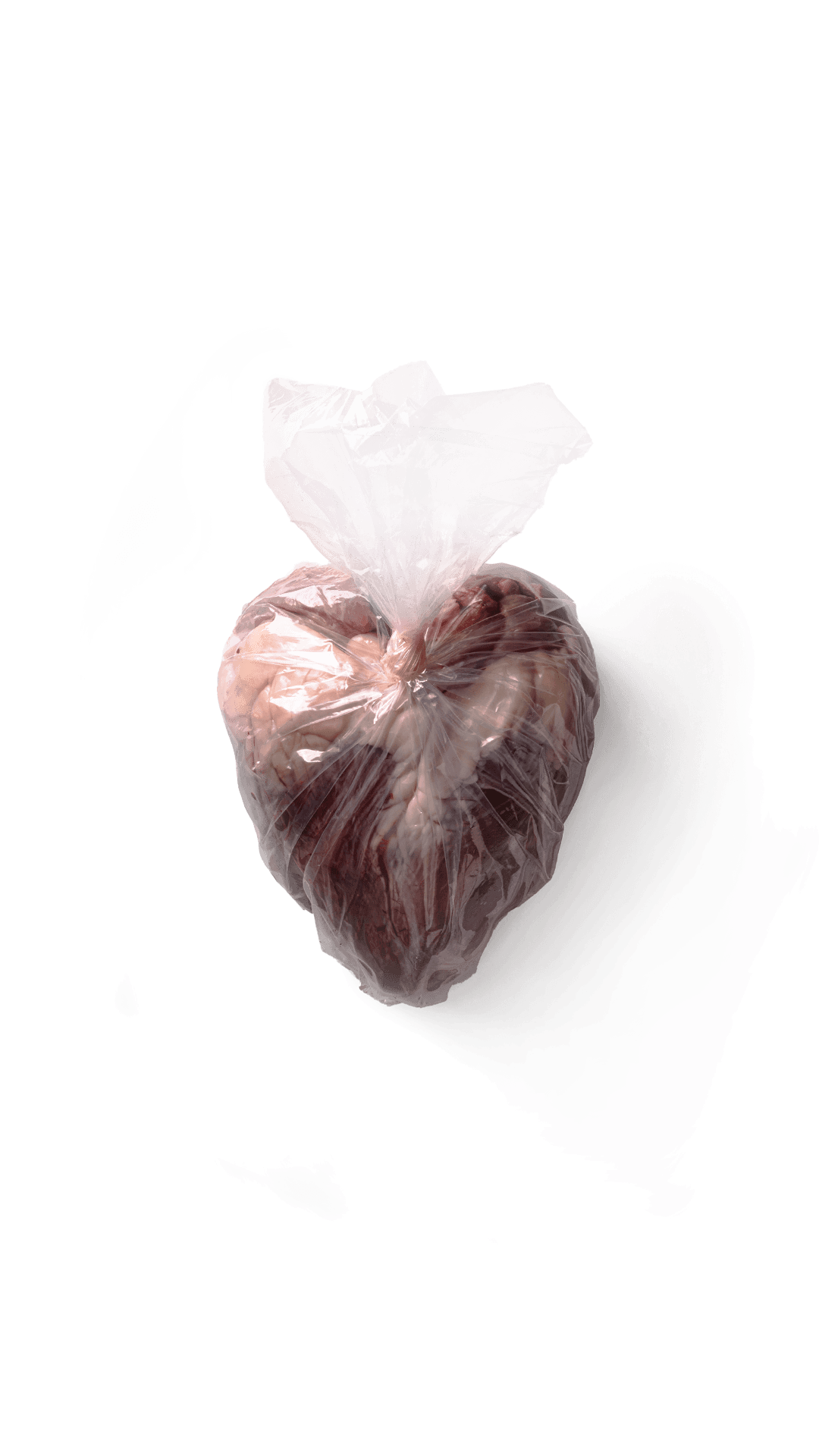 Wasted Heart — cuore di manzo chiuso in un sacchetto di plastica su fondo bianco, fotografia premiata ai World Food Photography Awards 2025